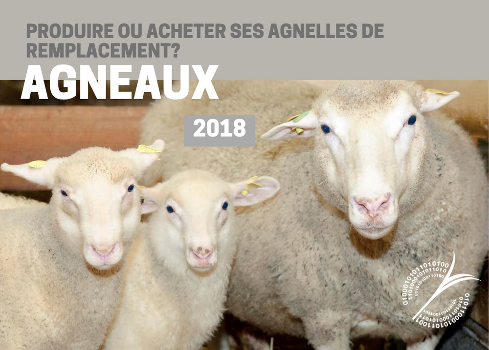 Analyses comparatives : PRODUIRE OU ACHETER SES AGNELLES DE REMPLACEMENT - AGNEAUX 2018